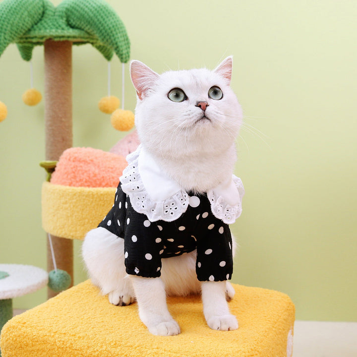 Stylish Blue Pet T-Shirt for Your Furry Friends