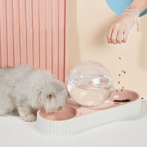 Revolutionize Your Pet's Feeding Experience with Our Automatic Feeding and Water Bowl