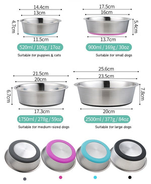 Why the Pet Silicone Stainless Steel Feeding Bowl is a Must-Have for Your Furry Friends