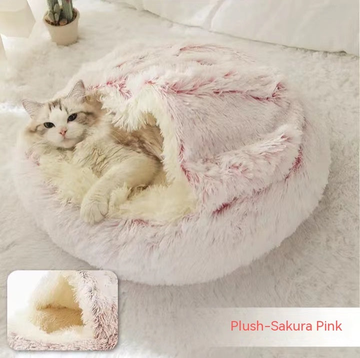 Comfort Meets Style for Your Furry Friends