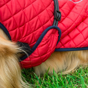 Adjustable Warm Cozy Cotton Pet Jacket