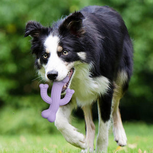 Why Your Dog Needs the Durable Cactus Pet Chew Toy