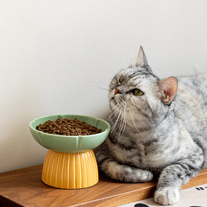 Elevate Your Pet's Dining Experience with Our Pet Macarons Candy Color Ceramic Bowl