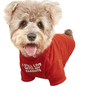 Why Your Pet Deserves the Best: The Pet Round Neck Casual T-Shirt