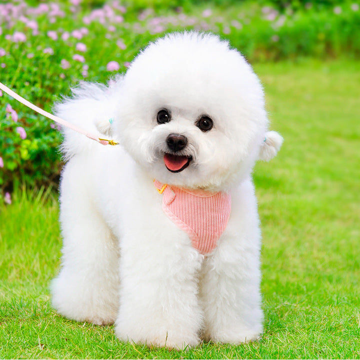 Discover the Perfect Pet Outdoor Leash and Harness Set